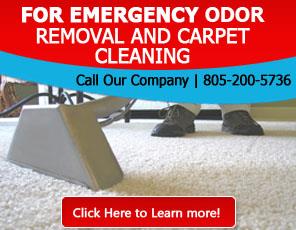 F.A.Q | Carpet Cleaning Thousand Oaks, CA